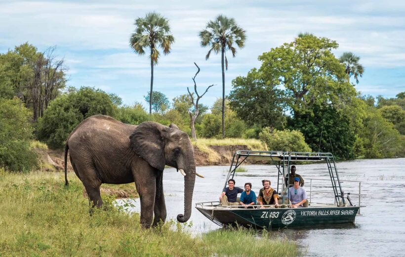 5 Day Best of Kruger Safari